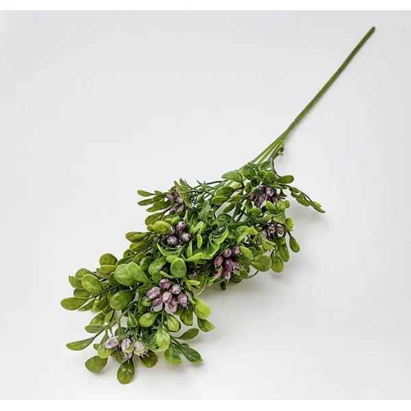 Ld Buchet Planta Echeveria Ld Buchet Planta Echeveria