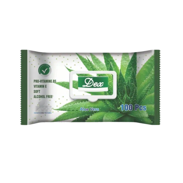 Dex Servetele Umede Aloe Vera 100buc 12/bax