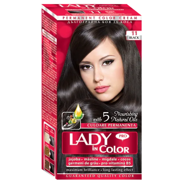 Lady In Color Vopsea Par Nr.11 Black 12/bax